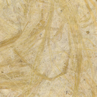 Gebleekt Smele (gras) papiermonster