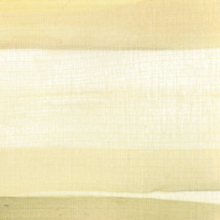 Prei papyrus