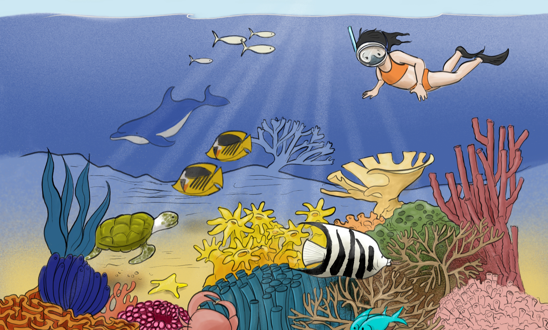 Dive With Us