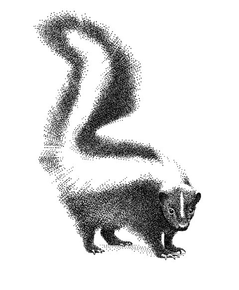 Stinkdier